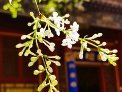 -潭柘寺景区