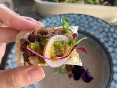 -Hi City·城市之巅