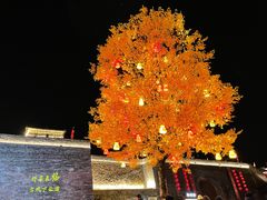 -紫阳古街
