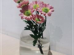 -boundaries籬苑(瑞光创意工厂-贰号院店)