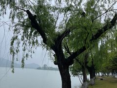 -南北湖风景区