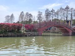 -张公山寨景区