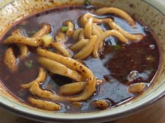 -玉滋補