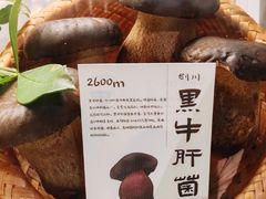 -滇野云南野生菌餐厅(陕西南路店)