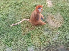 -西安秦岭野生动物园