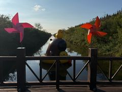 -黄海国家森林公园