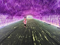 -绿野森林乐园冰雪季