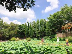 -广州莲花山旅游区