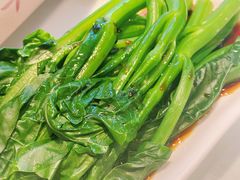 白灼菜心-金鼎轩(亚运村店)