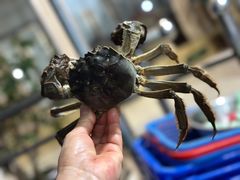 -秋月舫(阳澄湖湖滨中路店)