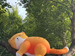 -西安电影制片厂