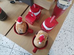 -星巴克(三亚海棠湾国际免税城店)