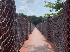 -广州白江湖森林公园