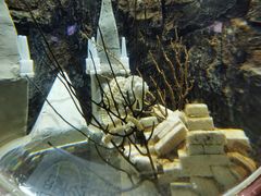 -太平洋海底世界