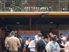 -将军关探险漂流