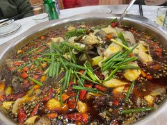 -乡土特色.冷锅鱼.牦牛肉汤锅