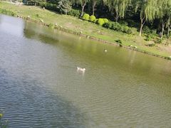 -西安浐灞国家湿地公园