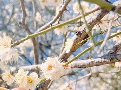 -丽江泸沽湖景区