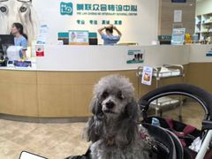 -美联众合动物医院·24h转诊中心