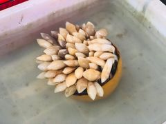 -大笑饭堂(甲子桥店)