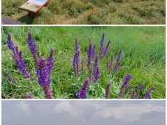 -敕勒川草原文化旅游区