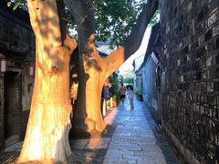 -花·fleur古董西餐厅(西城夜未央店)