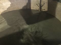 -加林娜泥浴水疗