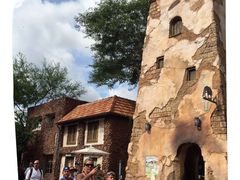 -奥兰多迪士尼动物王国乐园