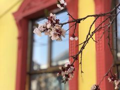 -伊犁老城喀赞其民俗旅游区