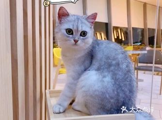 夏天带宝宝去哪玩？来新柒宠吧