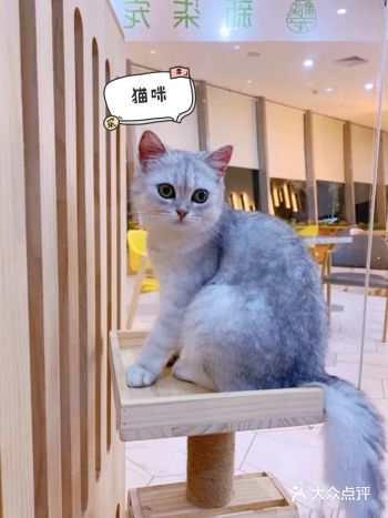夏天带宝宝去哪玩?来新柒宠吧