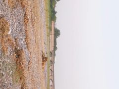 -卢沟桥文化旅游区(卢沟桥)