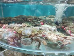 -晓伟海鲜家常菜