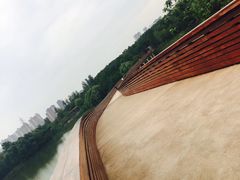 -昆山城市生态森林公园