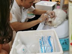 -lincat·猫舍(广州店)