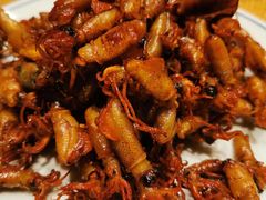 -日丰园海肠水饺·老字号大连海鲜(和平广场店)