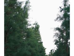 -云龙山