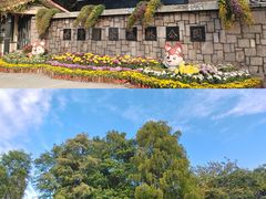 -上海共青森林公园