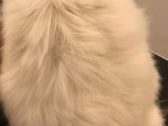 -comecome来吧宠物(奥克斯中心店)