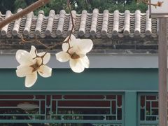 -北京市劳动人民文化宫