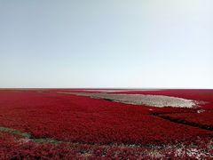 景点-红海滩国家风景廊道