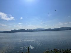 -东钱湖小普陀景区