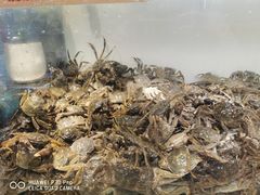 -金滏山烤肉·海鲜·火锅自助餐厅(襄阳万达店)