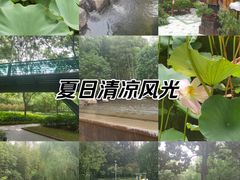-徐家汇公园