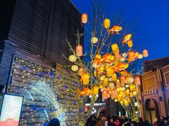 -龙湖星悦荟(颐和店)