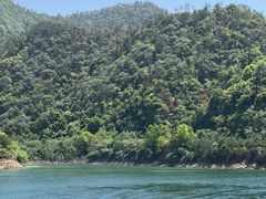 -千岛湖东南湖区