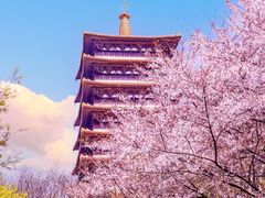 -牛首山文化旅游区