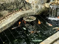 -宝莲禅寺
