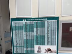 -中农国际动物医院24小时·猫科·骨科·急重症中心