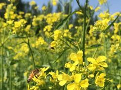 -长春公园(普阳街道)